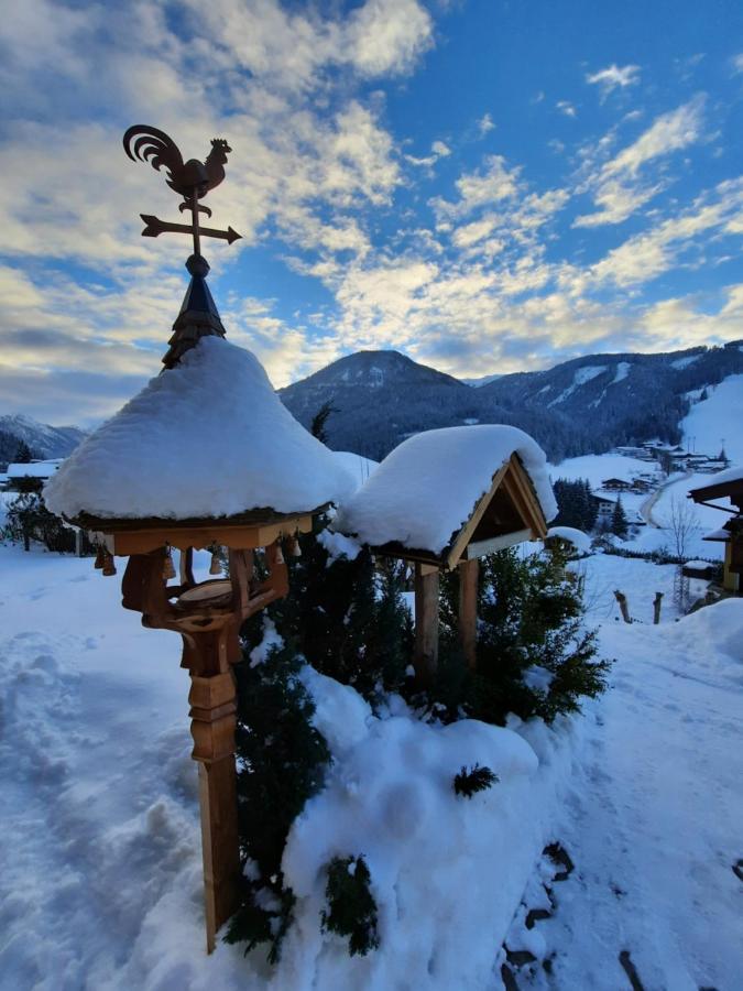 Haus Traninger * Flachau