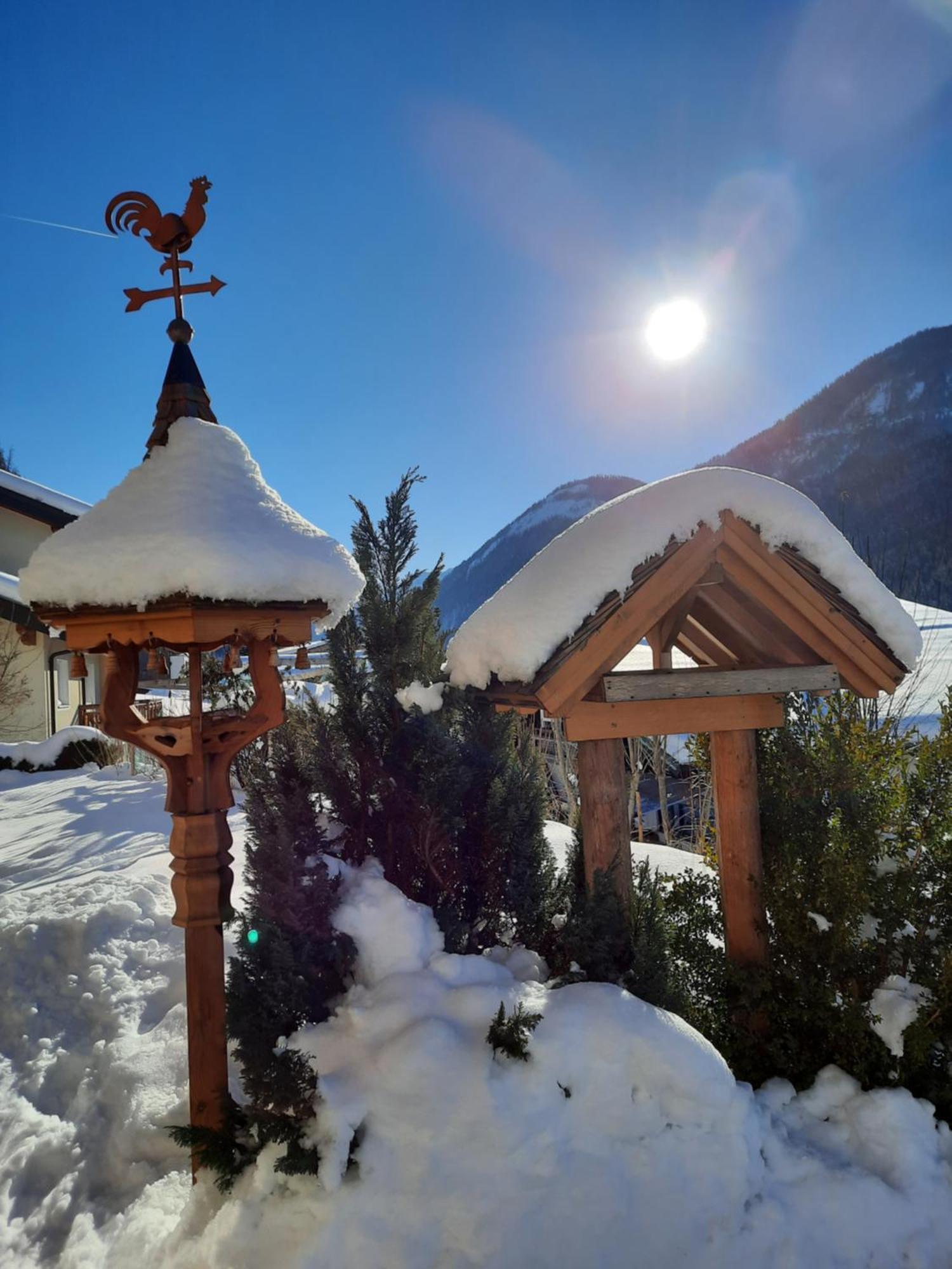 Haus Traninger Apartment Flachau