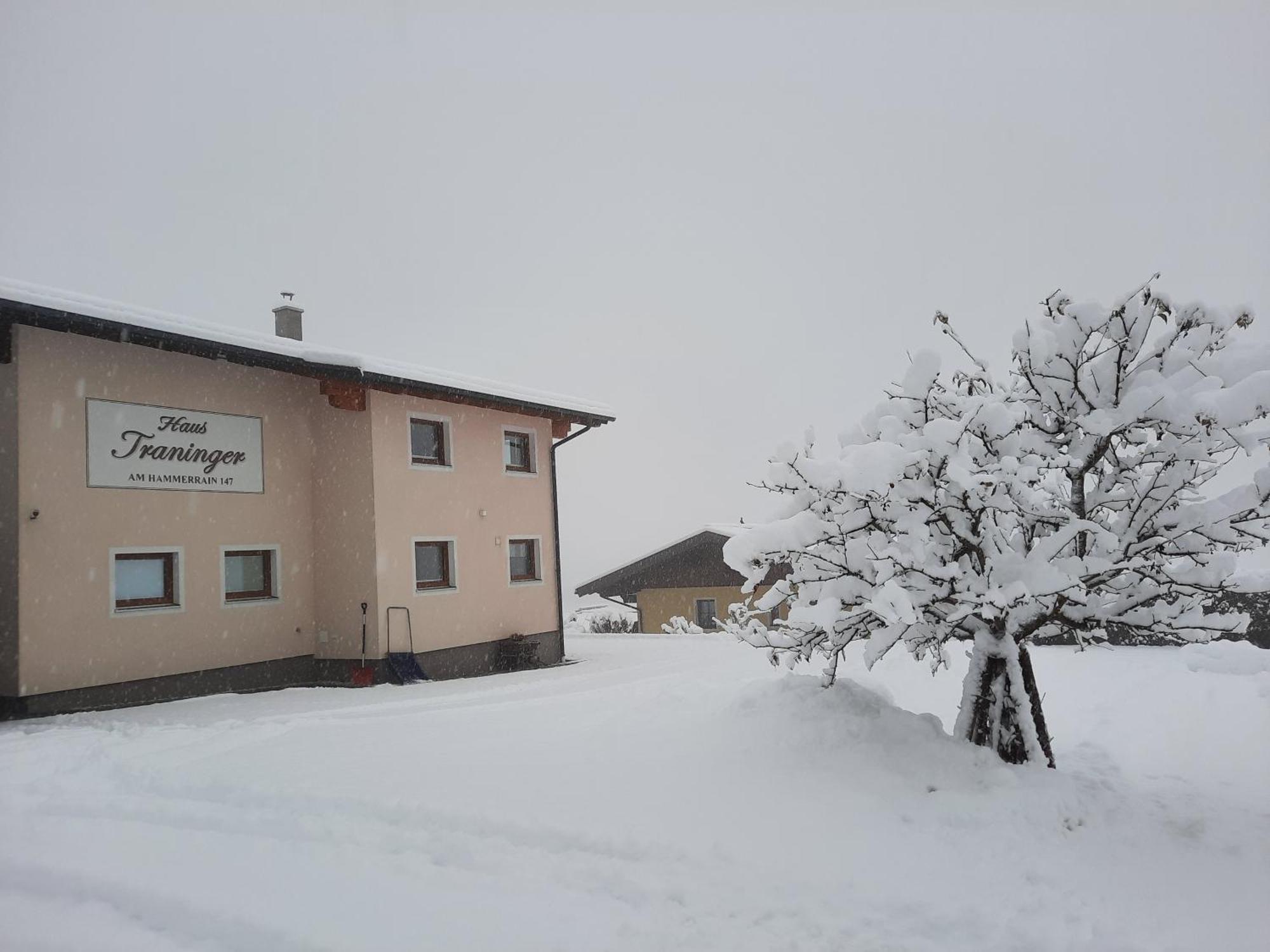 Haus Traninger * Flachau