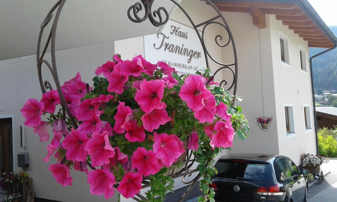 Appartement Haus Traninger Flachau